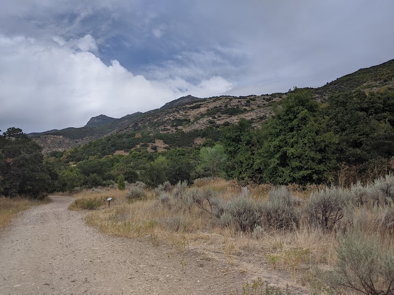 Wilderness Park Trail photo 2