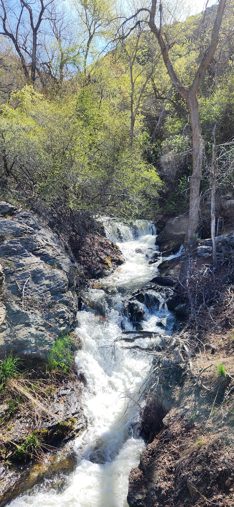 Wilderness Park Trail photo 3