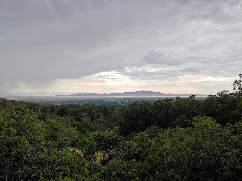 Wilderness Park photo 3