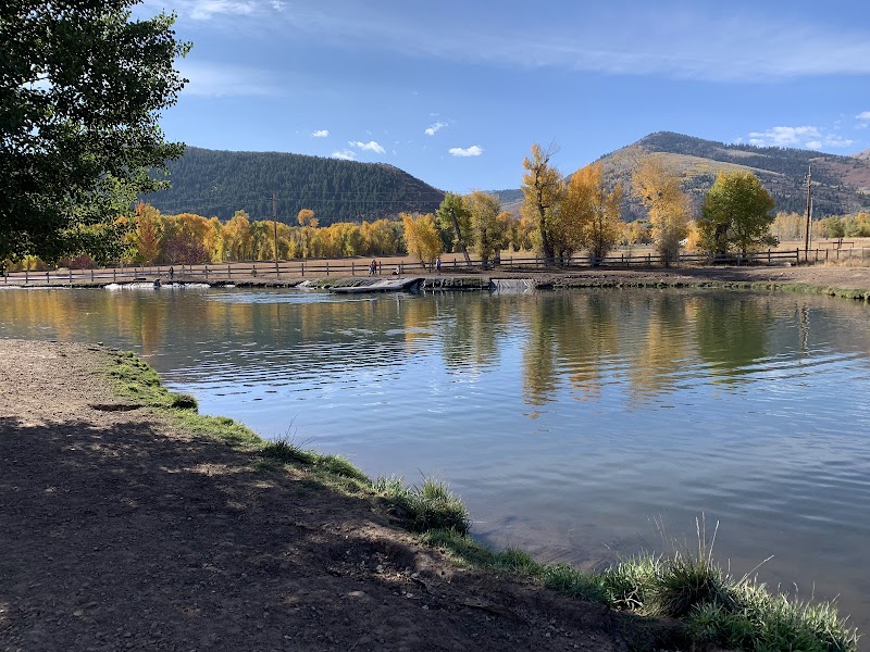 Willow Creek Dog Park