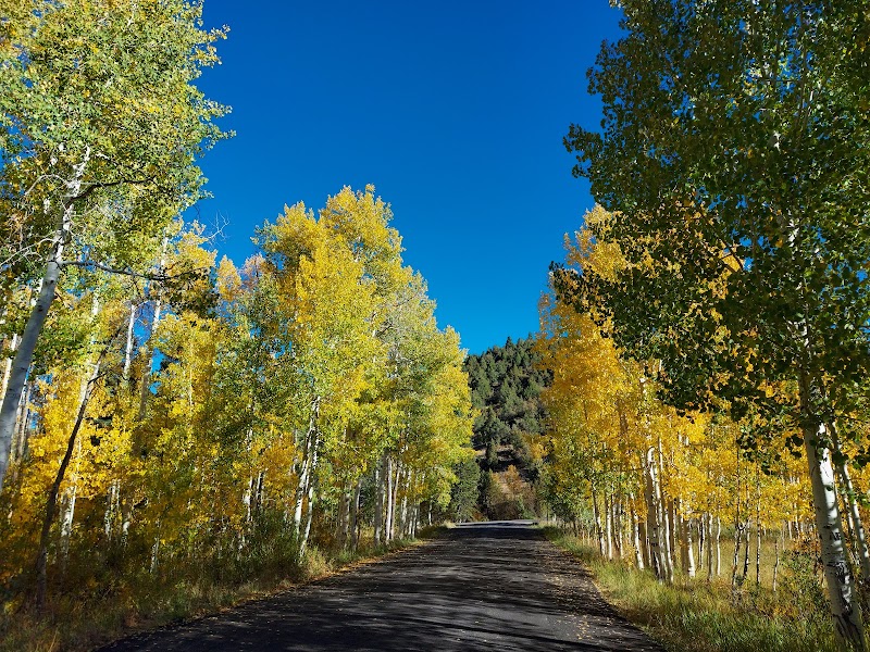 Wood Ranch Park photo 2