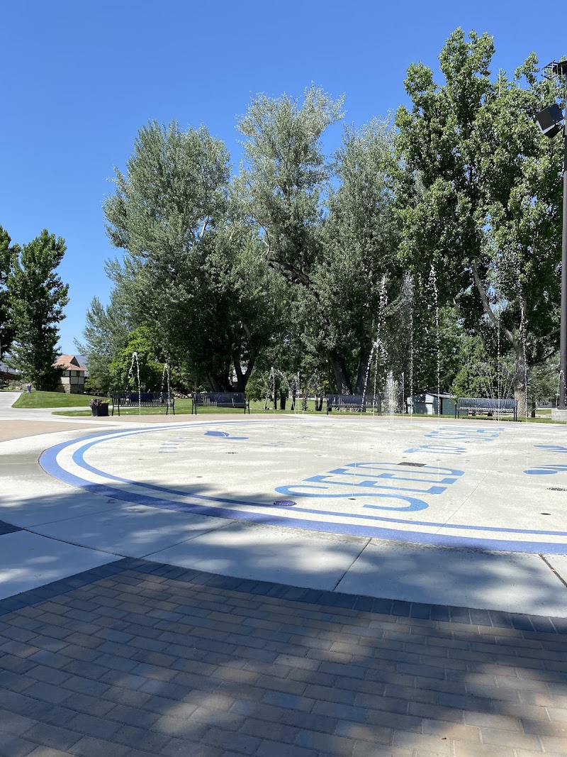 Young Living Splash Pad