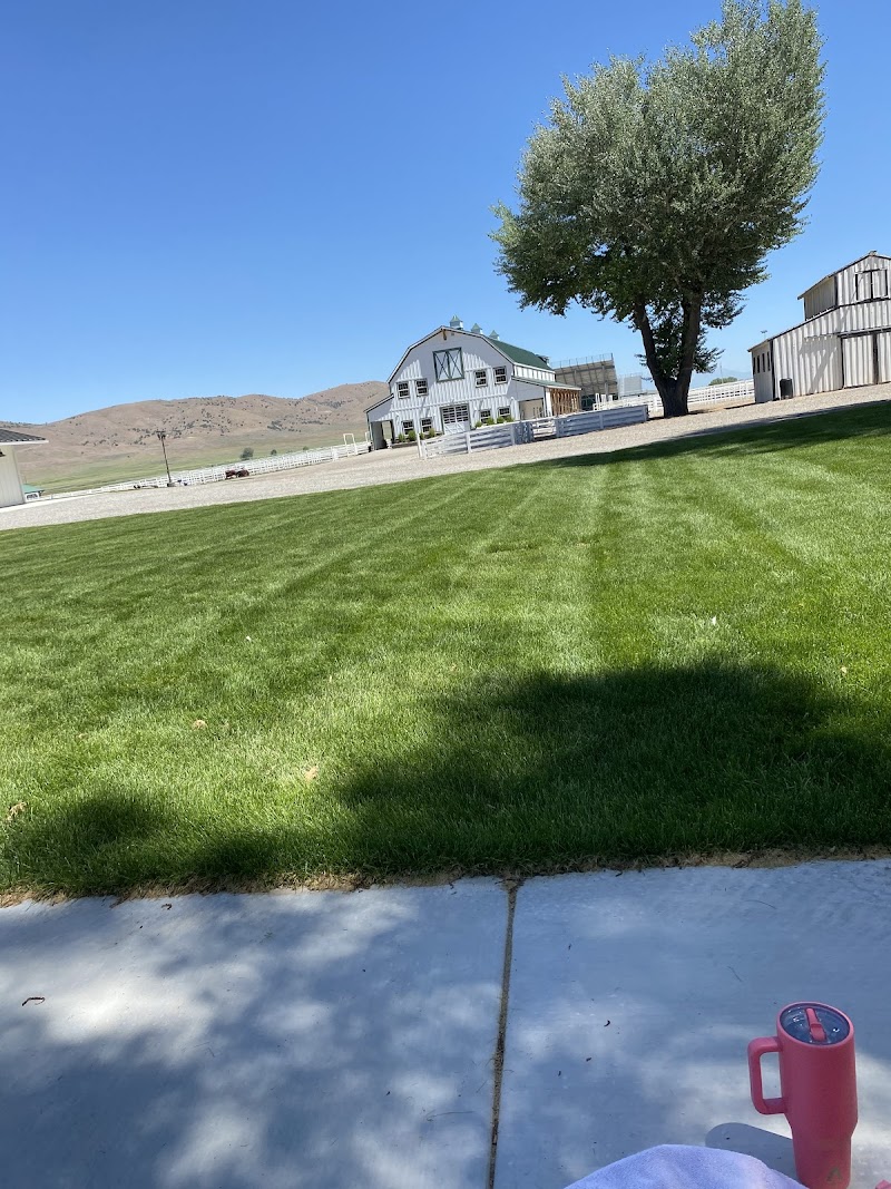 Young Living Splash Pad photo 2